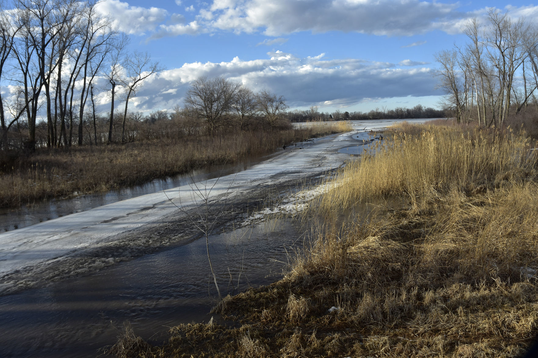 Camp Ashland/Wednesday, March 13